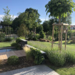 Heiby Wissembourg Haguenau Soultz sous forets - aménagements extérieurs pavage enrobé plantation paysagiste terrasse alsace store bois fontaine jardin paysage