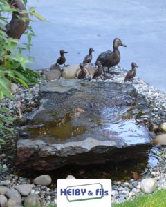 Heiby Wissembourg Haguenau Soultz sous forets - aménagements extérieurs pavage enrobé piscine plantation paysagiste escalier flottant ingwiller