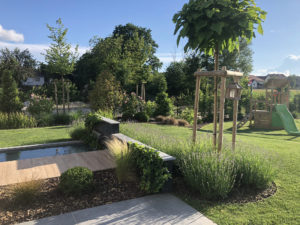 Heiby Wissembourg Haguenau Soultz sous forets - aménagements extérieurs pavage enrobé plantation paysagiste terrasse alsace store bois fontaine jardin paysage